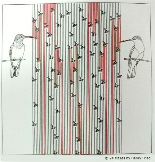 Solution to Birds & Bees maze 
